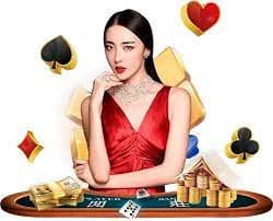 Live blackjack table with professional dealer and HD streaming interface